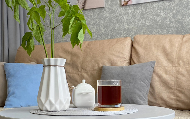 Апартаменты 1-комнатные с кондиционером | GoodNight Aparts