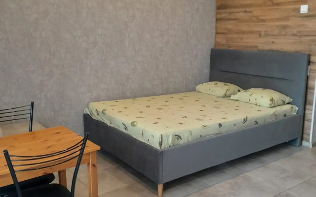 Studiya U Aeroporta Flat