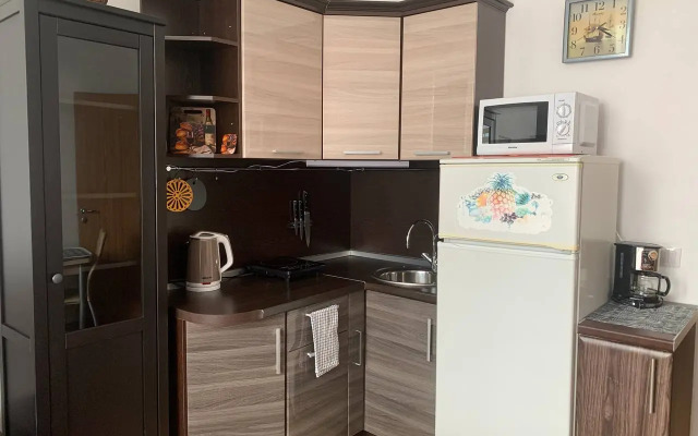 Квартира студия Живи в Песочном на Садовой 83