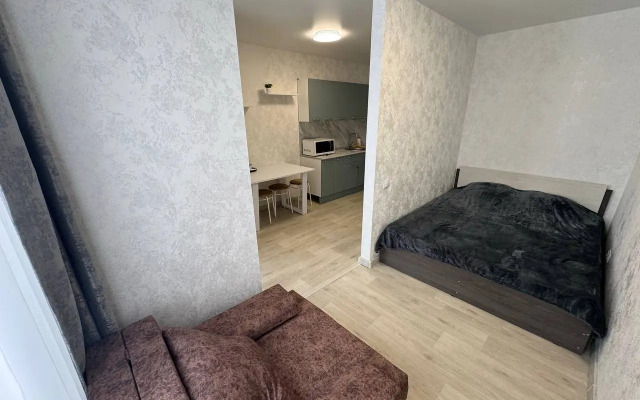 Studiya ryadom s aeroportom Flat