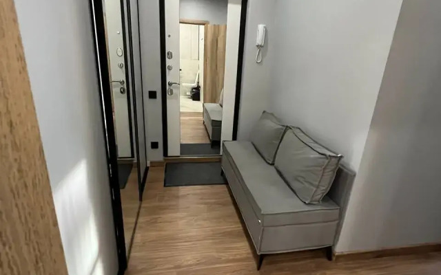 Dizaynerskaya V Samom Tsentre Rostova Flat
