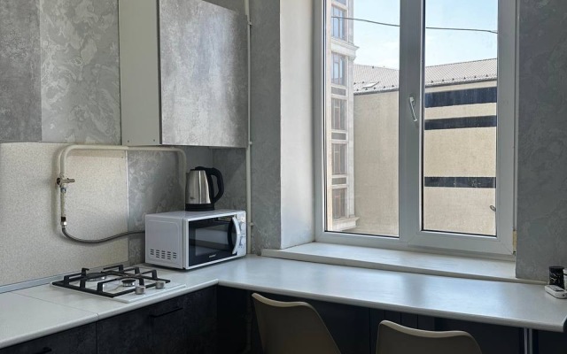 Odnushka v tsentre Flat