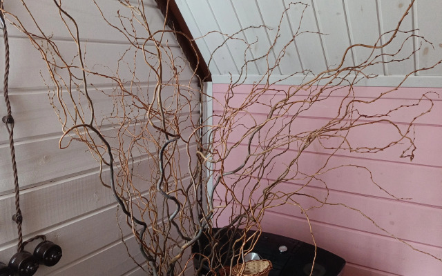 Частный дом с Баней и Купелями