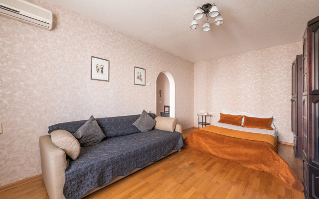 Domumetro Na Novyih Cheremushkah Apartments