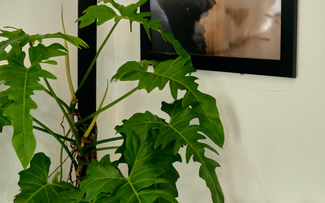 Peaceful Saigon 1BR in District 1 Pet-friendly Private house – Others – Ho Chi Minh City