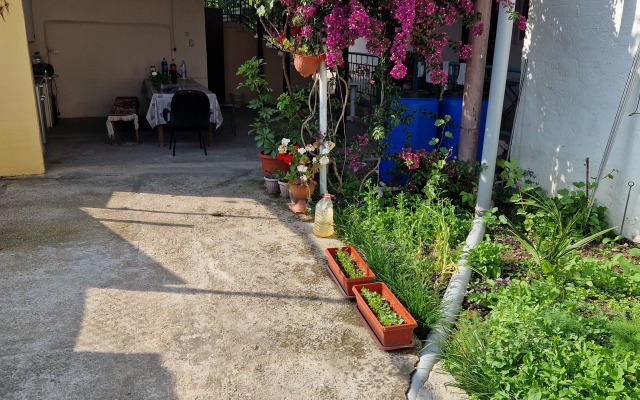 Shapsugskaya 6A Guest House