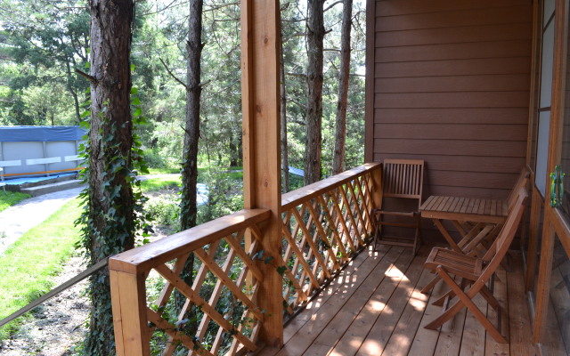 Lodge Altai Recreation center