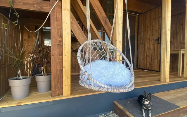 Частный дом на Пограничном переулке 3А (2)