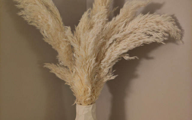 Квартира Светлая на Ерохина 27