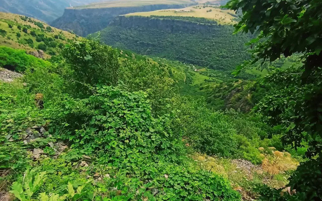 Кемпинг Three poplars by VL