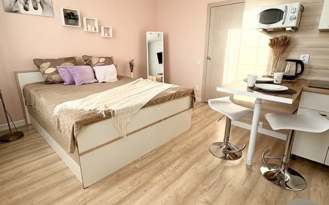 Апартаменты Рябинина 47