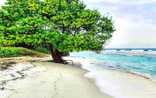 Bon Abri Maldives Guest House