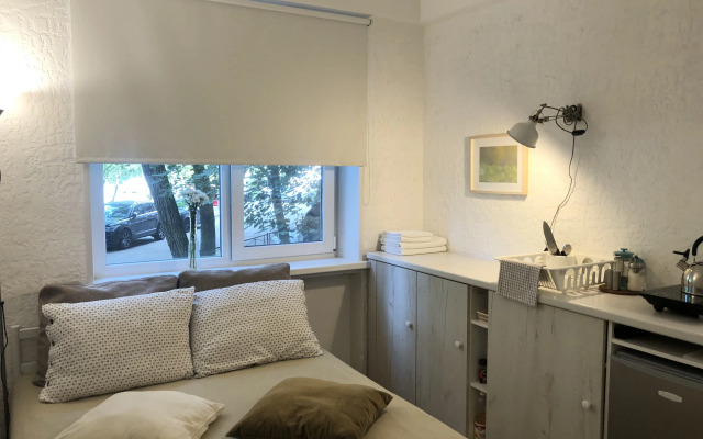 Full House U Almazova-3 Apartment
