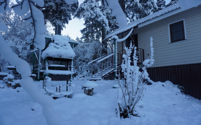 Dlya semyi Guest house