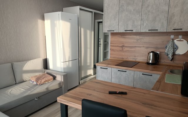 Apartamenty Studiya Na Pushkina 16 Apartments