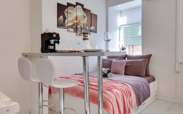 Апартаменты Элитная студия на Рижской