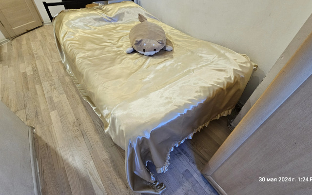 Квартира Качественный Бюджетный Вариант у Метро Комендантский Проспект