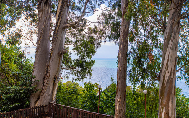Skazka Guest House