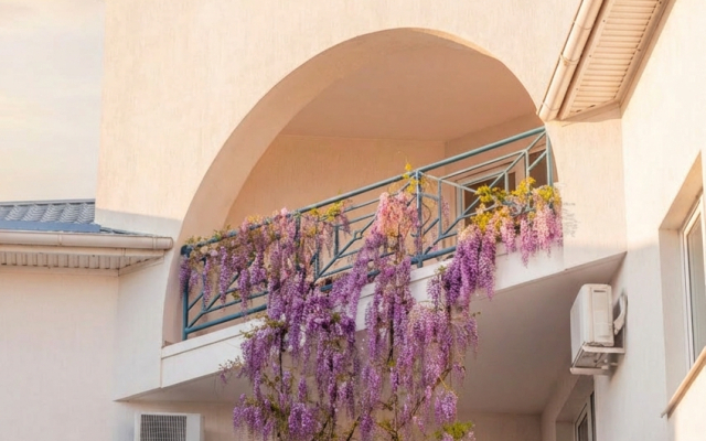 Отель Роза Ветров