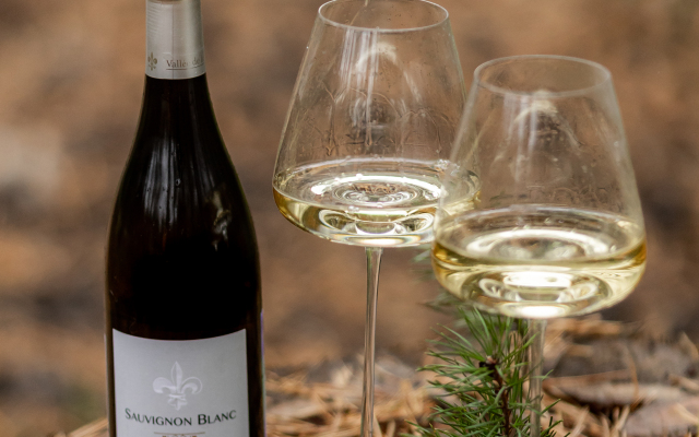 Отель Вино и Сосны