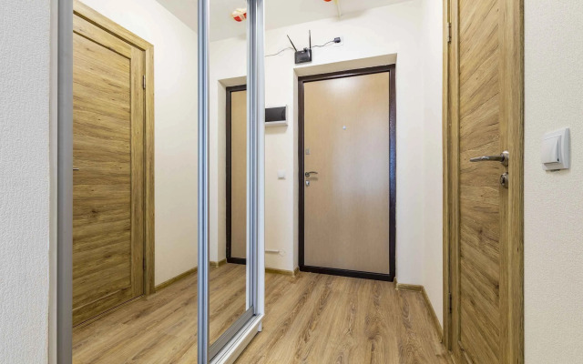 Odnokomnatnye apartamenty u Aeroporta Apartments