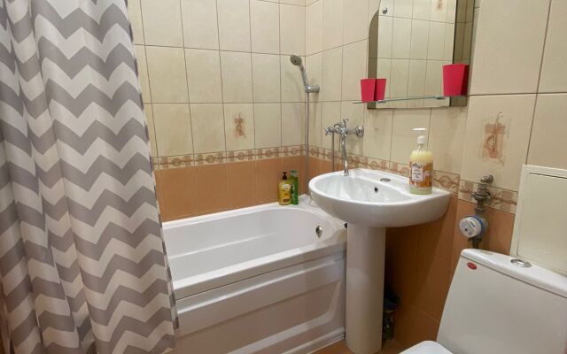 V Tsentre Goroda Flat