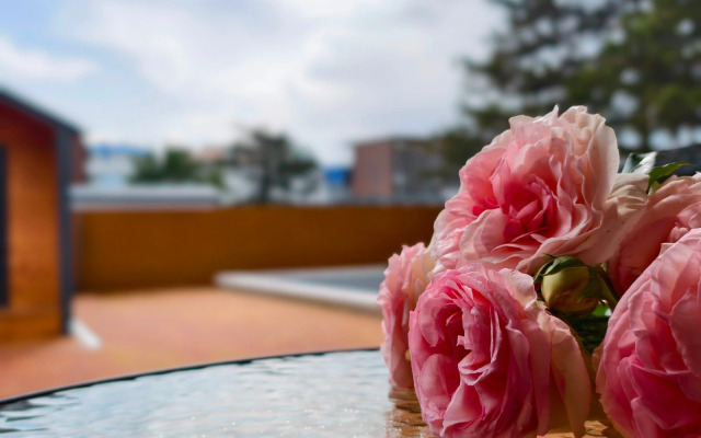 Baza otdykha Rio Hotel