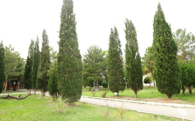 Priboj Sanatorium