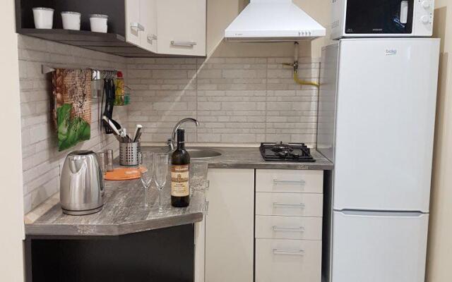 Апартаменты Голицына 19 1