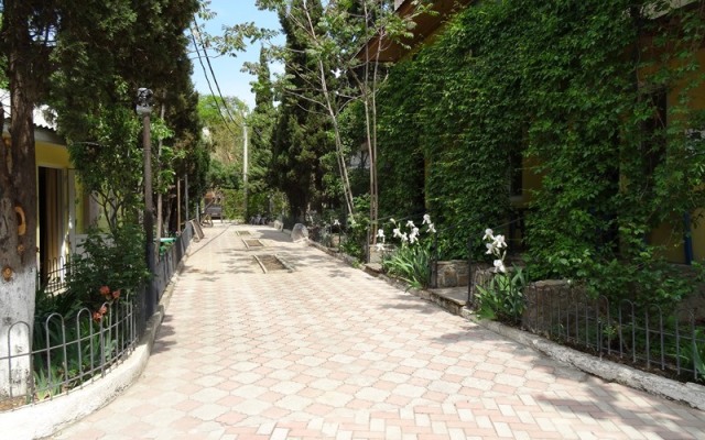 Sultan Guest House