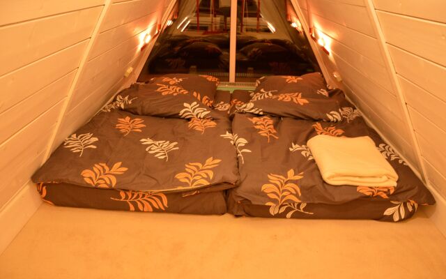 A-Frame Dubhouse Private house