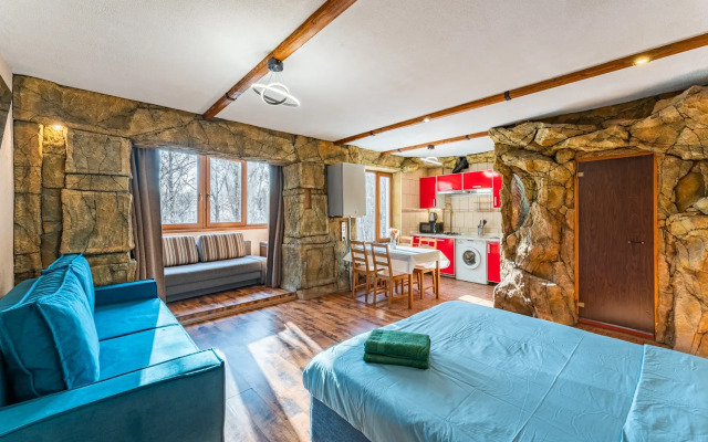 Апартаменты Люкс Коньково