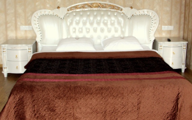 Diadema Sheremetevo Guest House