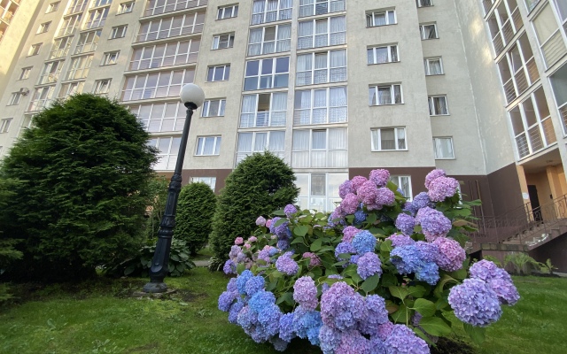 Апартаменты Фридланские Ворота