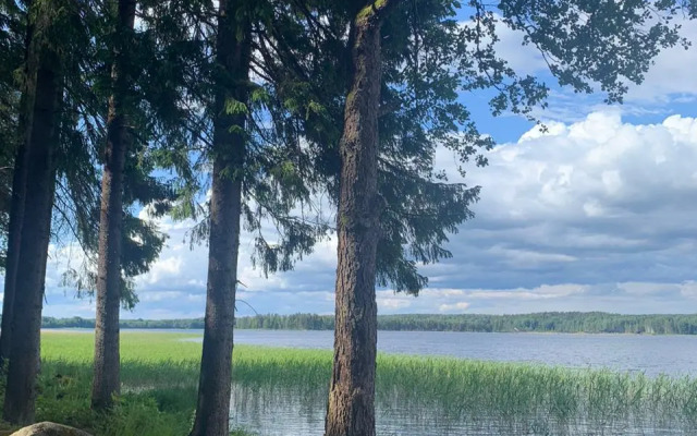 Частный дом Лес Озеро