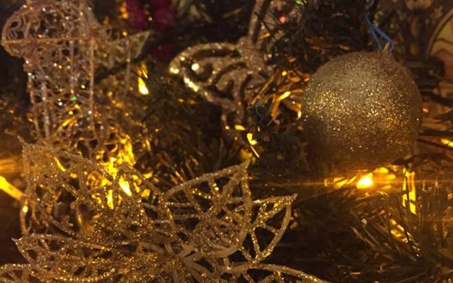 Семейный отель Лесной берег