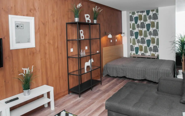 Pskov Design Flat 3