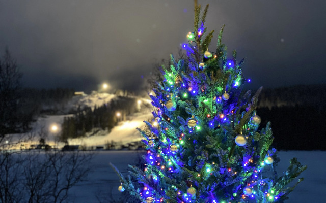 Дом Ялхаус #2