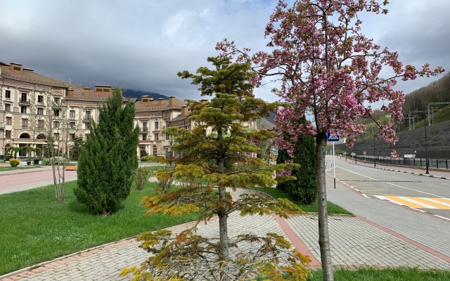 Gorki Gorod Collection Apartments