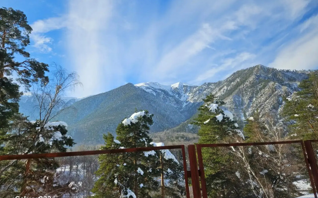 База отдыха ОЛЬХОВАЯ