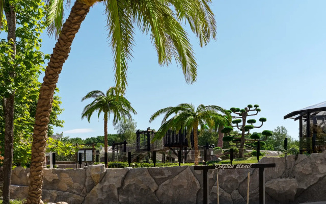 Dolphin Planet Hotel & SPA