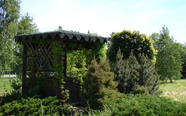 Любимая Дача меблированные комнаты