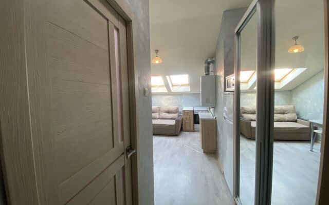 Апартаменты 1-К Квартира Мансарда