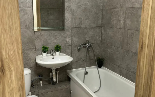 Dream House U Aeroporta Apartments