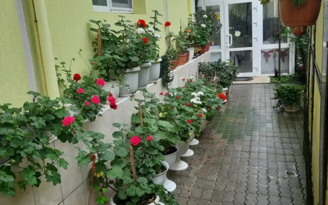 Uyut Guest House