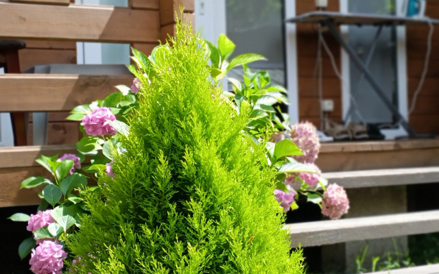 Samir-Hause Guest House