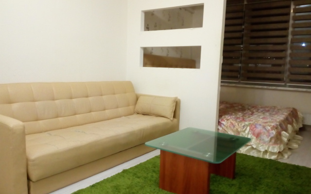 Апартаменты Однушка в центре Балашихи