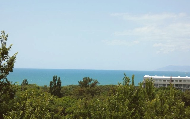 Divnomorye Guest House