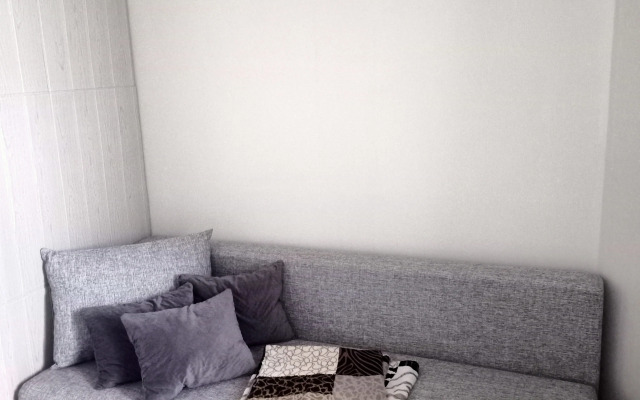 Uyutnaya studiya v tsentre Zakamska Flat