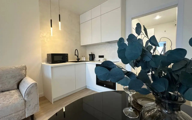 Apart Pionerskaya Apartament